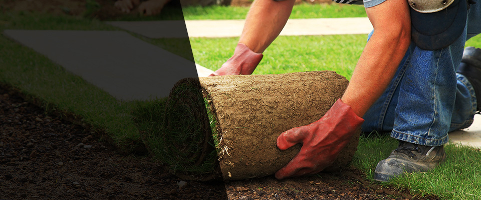 Lafayette Hill Landscapers